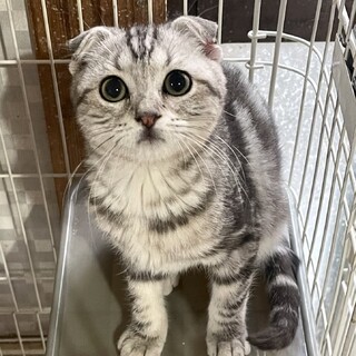 C22-1133　可愛すぎ～♪