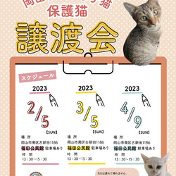 岡山手のひら子猫　猫の譲渡会