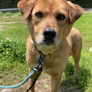 ビュティフルなローラ・リンちゃん！