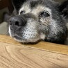 は　る　か