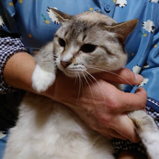 スリゴロ甘えん坊さん