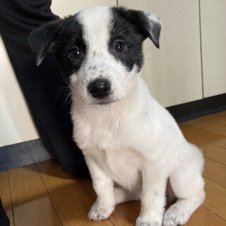 抱っこ大好きターンちゃん❤