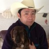 ダイハード