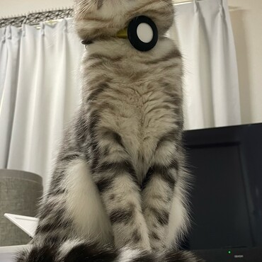 の写真