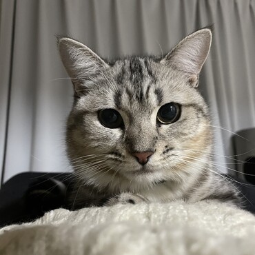 の写真