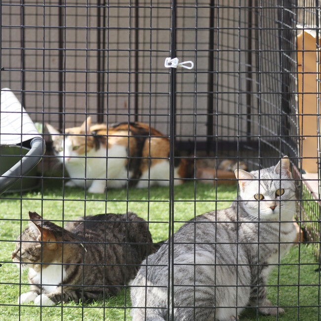 kajioのカバー写真