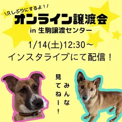 ピースワンコ生駒オンライン譲渡会