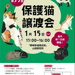 【野崎参道商店街】第33回保護猫の譲渡会
