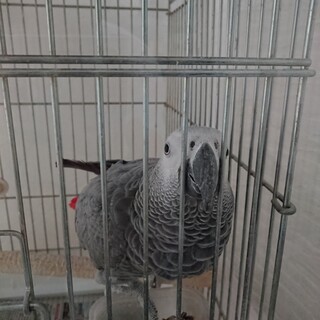 陽気で元気でおしゃべり好きな陽ちゃんです