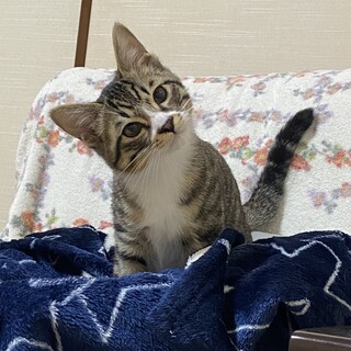 9月20日生まれです