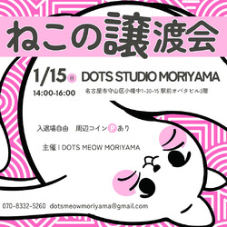 1/15(日)猫の譲渡会@守山区小幡駅前