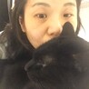 なおこた