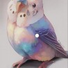 totoちゃん