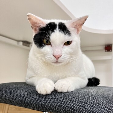 座っていた椅子から離れると、すかさずやってくるあなた。温めておきましたよ。