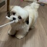 の写真