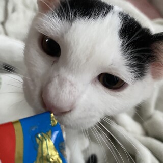 天然系男子『うの君』