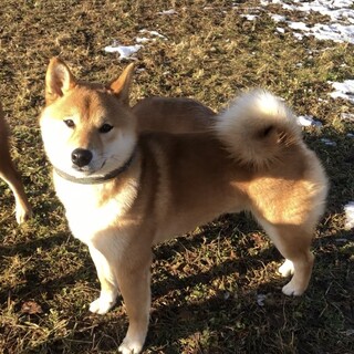 里親さんが決まりました！