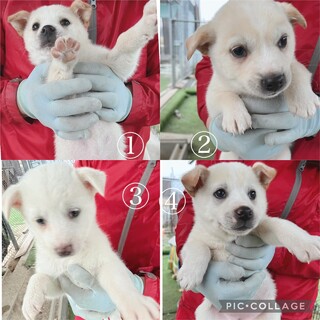 人懐こい食いしん坊女子達！