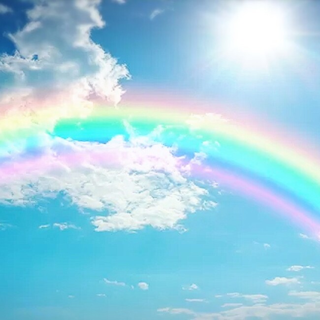 レインボーキャッツのカバー写真