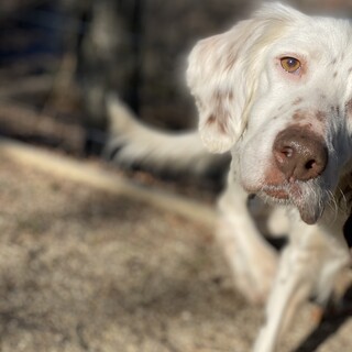 トライアル決定【メリー】５歳未満の女の子