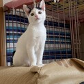 9月14日生まれです