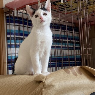 9月14日生まれです