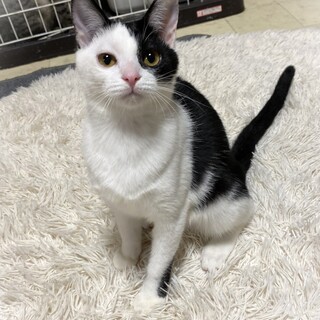 抱っこ好きな女の子