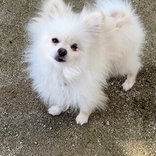 笑顔のかわいい「北斗」くん