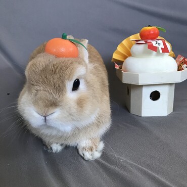 の写真