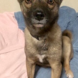 すぐにヘソ天！明るく元気な女の子幸