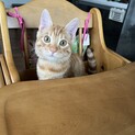 甘えん坊の気分屋　れいとくん