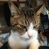 あざみライン