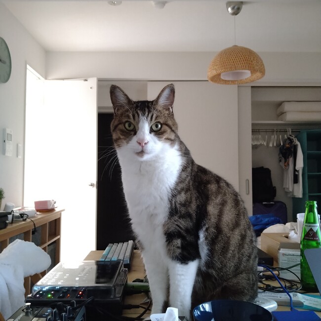 あざみラインのカバー写真