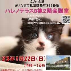 【さいたま市】1/22(日)ハレノテラス保護猫譲渡会