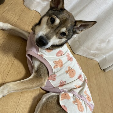 オーダーメイドでお洋服を作って頂きました(*ฅ́˘ฅ̀*)♡