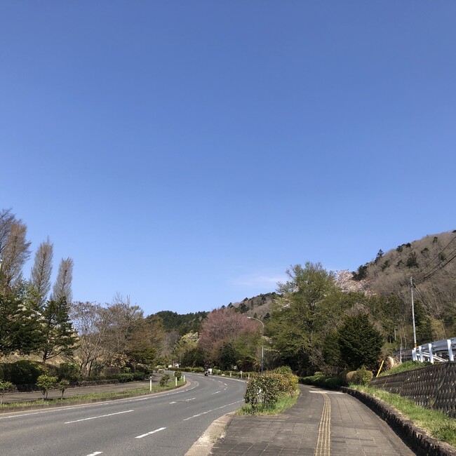 茂庭台にゃんこ〜おうち見つけ隊〜のカバー写真