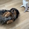 の写真