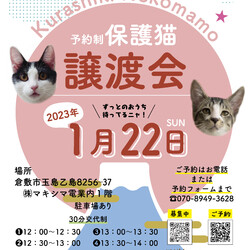 保護猫譲渡会