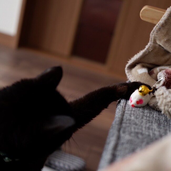 るをのカバー写真