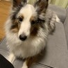 人懐っこい優しい女の子です サムネイル4
