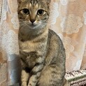〝しーちゃん〟です♪