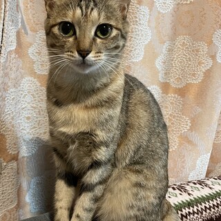 〝しーちゃん〟です♪