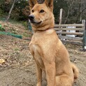 元気な食いしん坊パル君