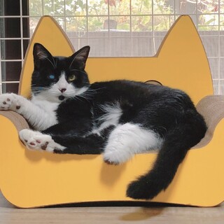 ハンディって何だろう？全く気にしてないよ