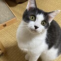 性格の可愛いざくろ❗️
