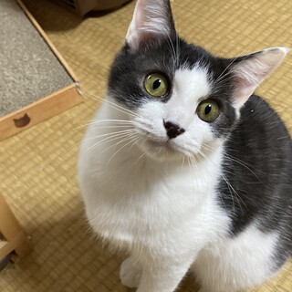 性格の可愛いざくろ❗️