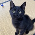 おっとり　優しい　ノア❗️