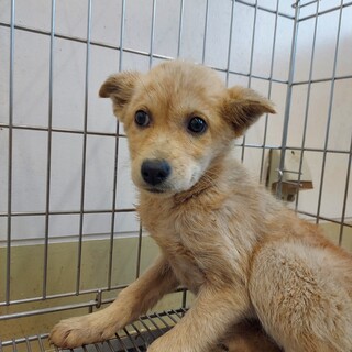 兄妹で保護されました