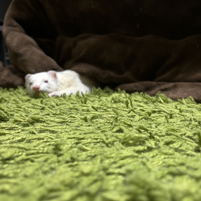 おかきまるのカバー写真