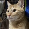 仲良し4兄弟♪ サムネイル5